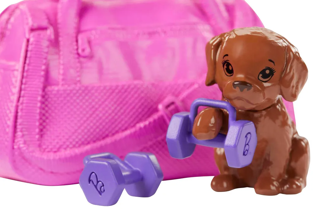 Barbie Wellness Fitness Puppe Und Spielset Mit Hündchen Und 9 Zubehörteilen 8 Barbie Wellness Fitness Puppe Und Spielset Mit Hündchen Und 9 Zubehörteilen – Bild 6