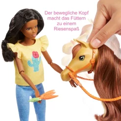 Barbie Reitspaß Mit Puppe (brünett), Chelsea, Pferd Und Pony -Barbie Verkaufsladen 7d24aa808b0093a0c7e10eb275cae858