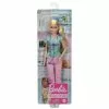 Barbie(r) Nurse Doll -Barbie Verkaufsladen https3A2F2Fdynamic.indigoimages.ca2F2Ftoys2F887961921427.jpg3Fwidth3D20026maxheight3D200 640x